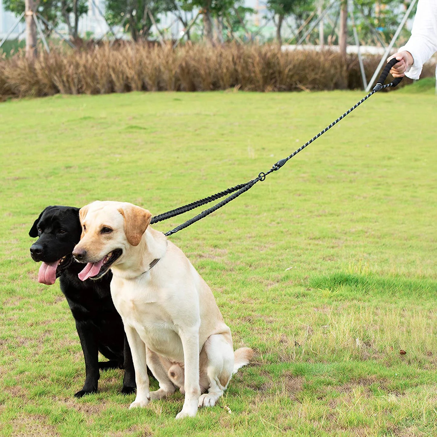 LAISSE POUR CHIEN AVEC COUPLEUR™
