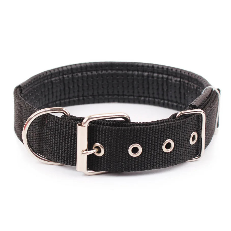 COLLIER CHIEN SOLIDE™