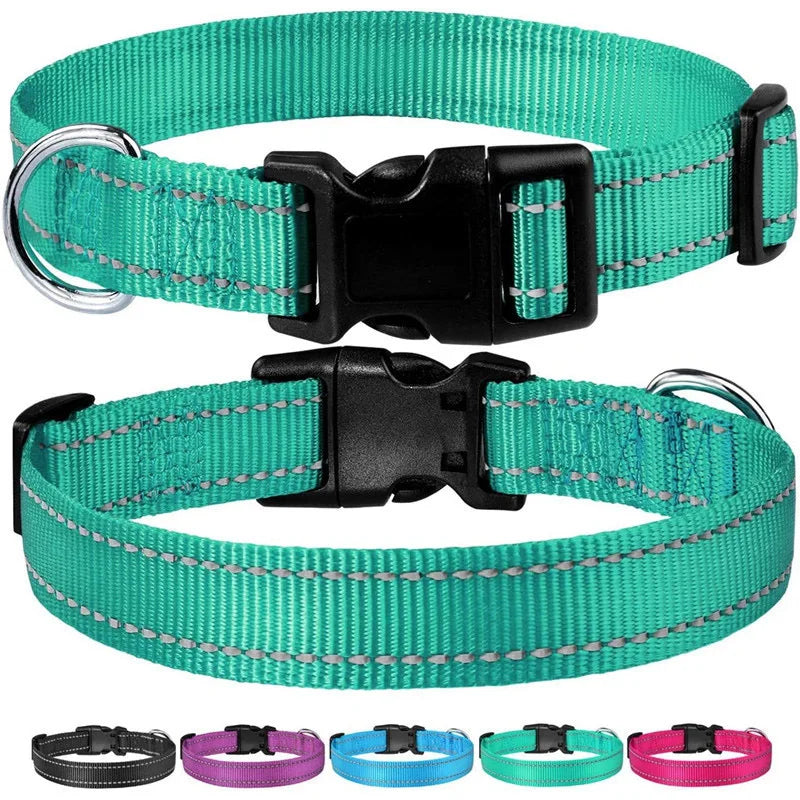 COLLIER CHIEN RÉFLECTEUR™