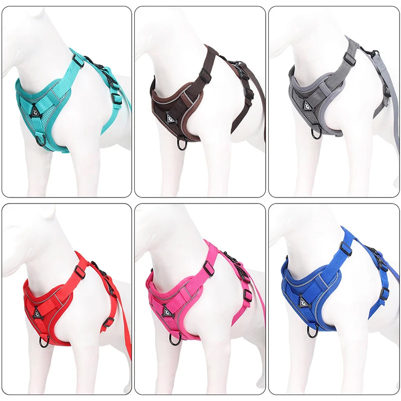 HARNAIS CHIEN RÉGLABLE POUR PETIT CHIEN™