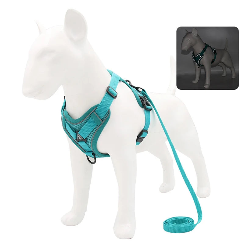 HARNAIS CHIEN RÉGLABLE POUR PETIT CHIEN™