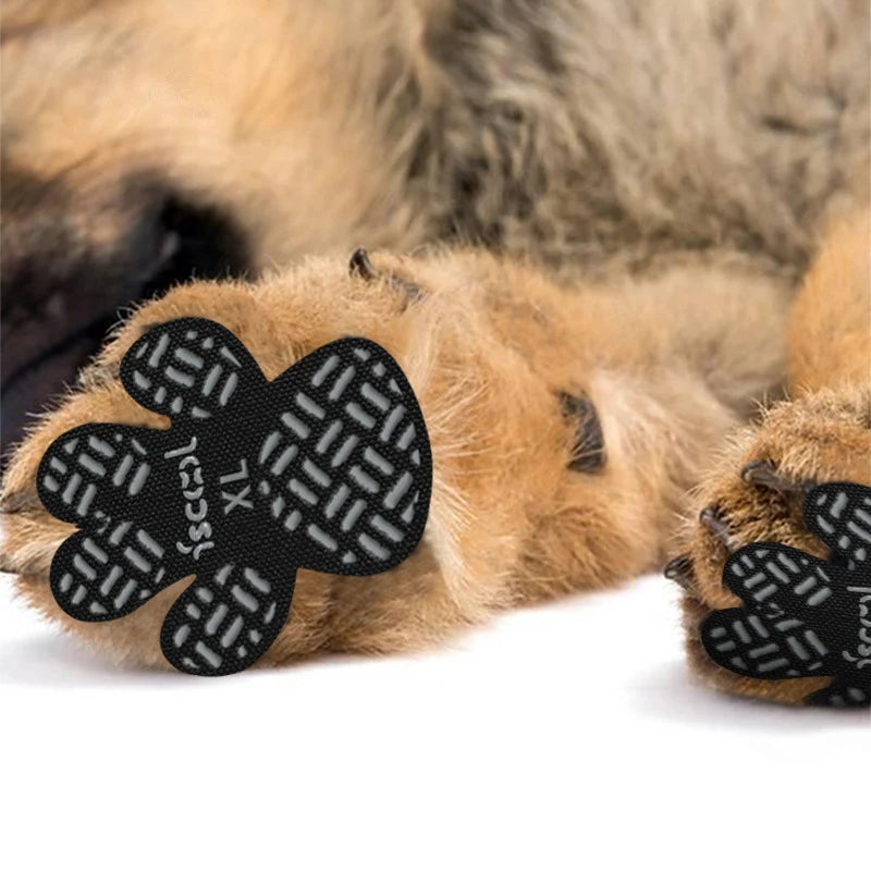 PROTECTION COUSSINET CHIEN™