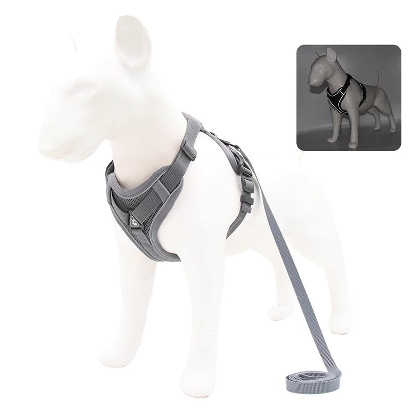HARNAIS CHIEN RÉGLABLE POUR PETIT CHIEN™