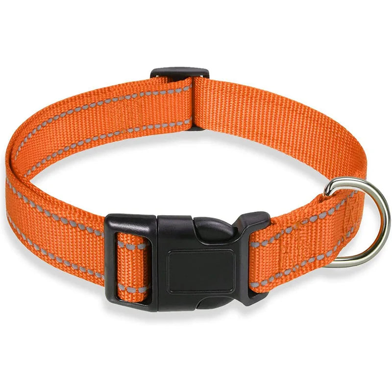 COLLIER CHIEN RÉFLECTEUR™