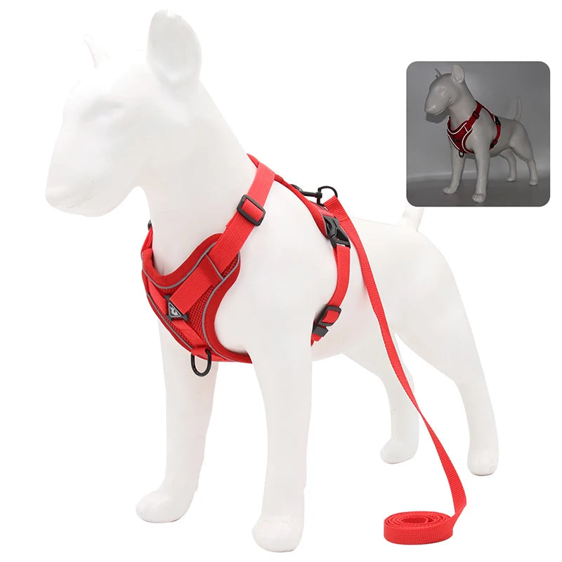 HARNAIS CHIEN RÉGLABLE POUR PETIT CHIEN™