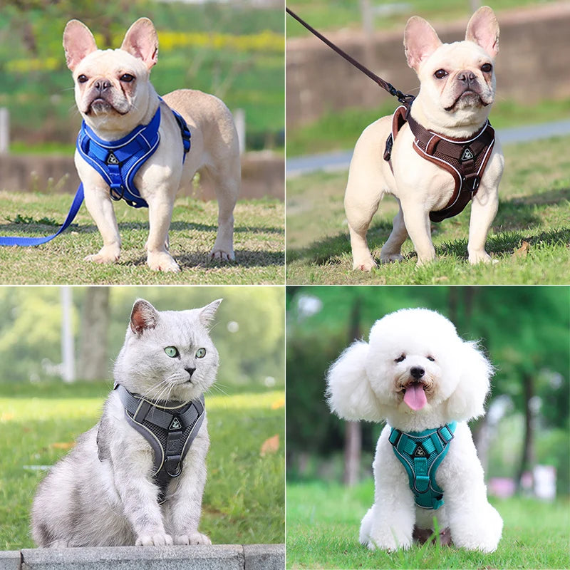 HARNAIS CHIEN RÉGLABLE POUR PETIT CHIEN™