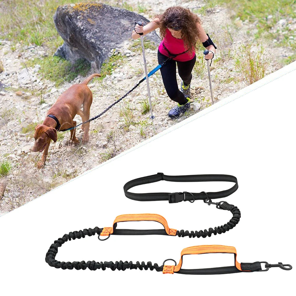 LAISSE CHIEN MAINS LIBRE™