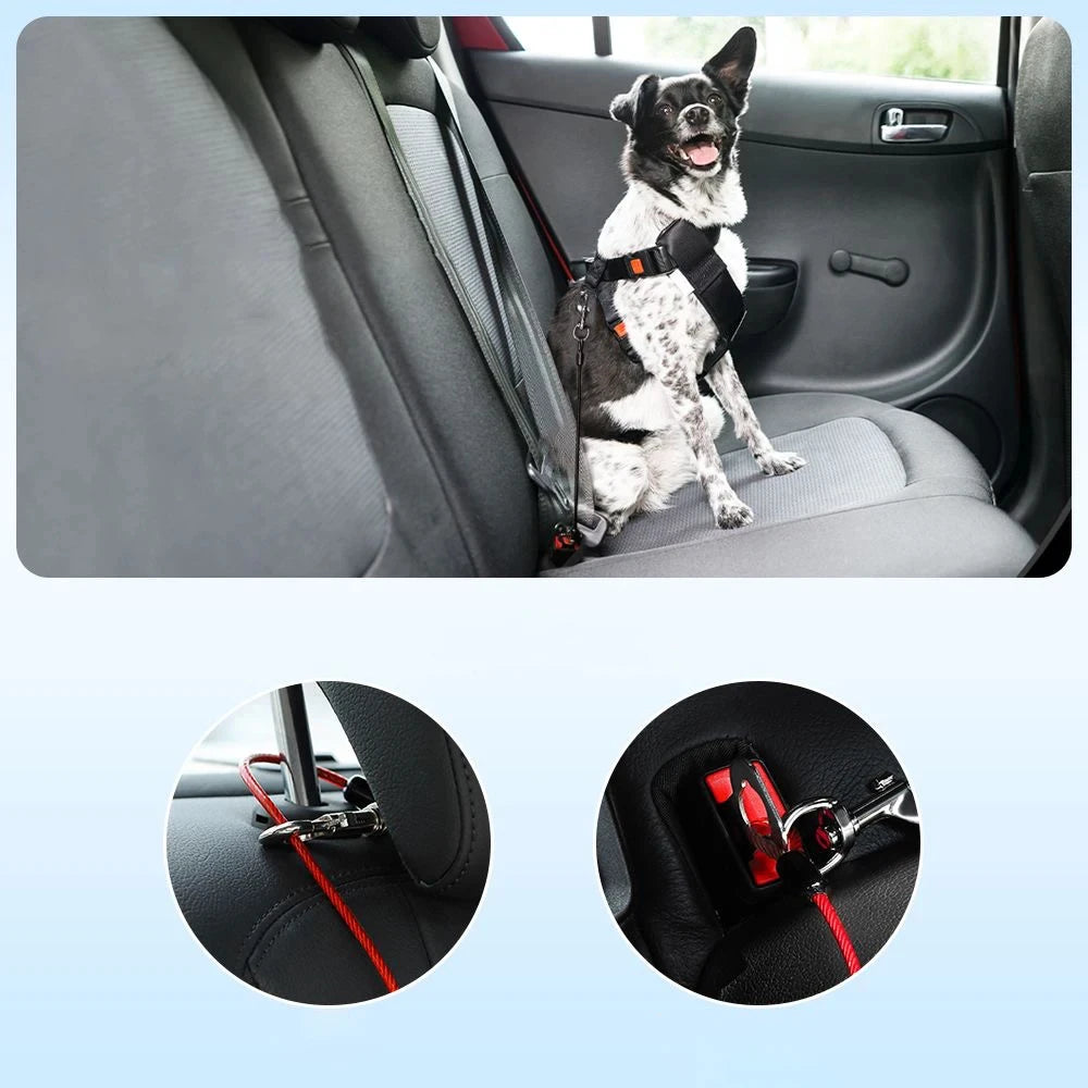 CEINTURE DE SÉCURITÉ POUR CHIEN™