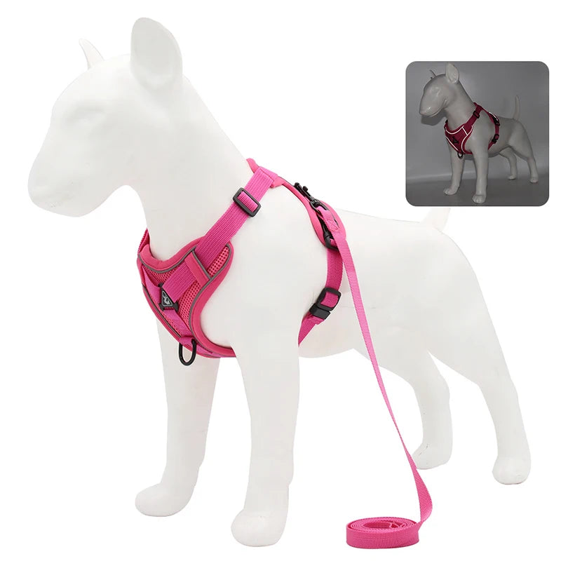 HARNAIS CHIEN RÉGLABLE POUR PETIT CHIEN™