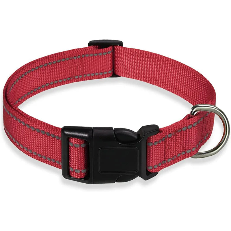 COLLIER CHIEN RÉFLECTEUR™