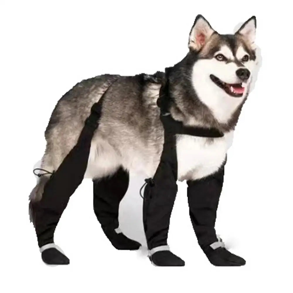 BOTTES POUR CHIEN AVEC BRETELLES™