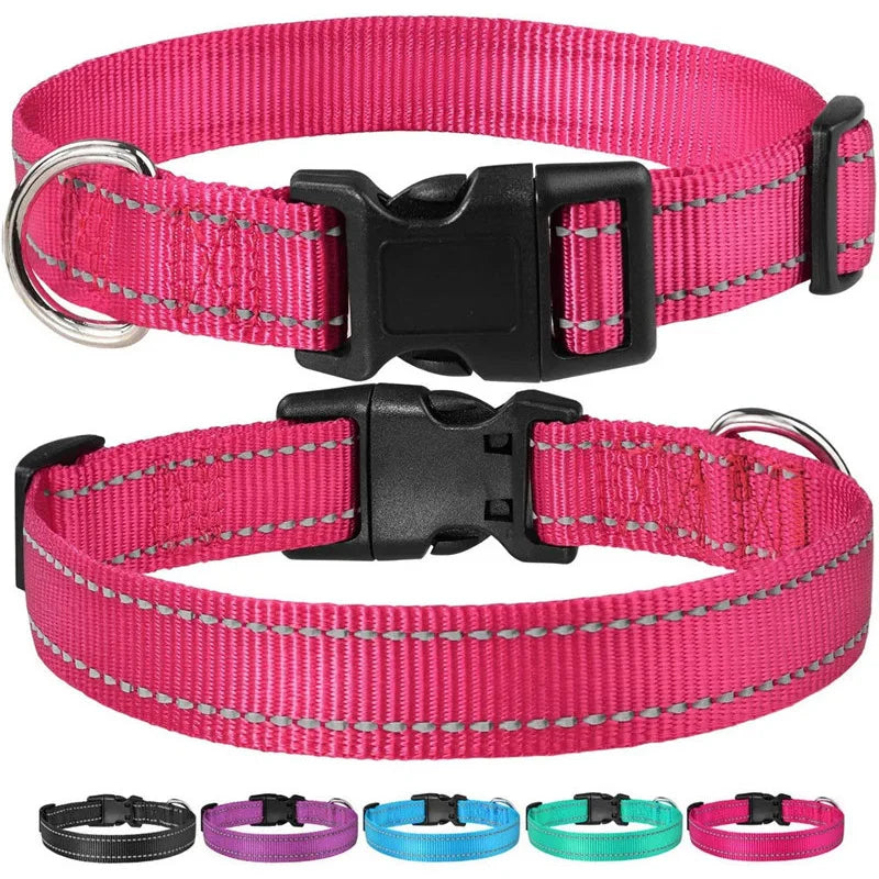 COLLIER CHIEN RÉFLECTEUR™