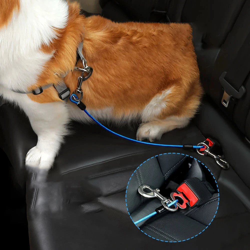 CEINTURE DE SÉCURITÉ POUR CHIEN™