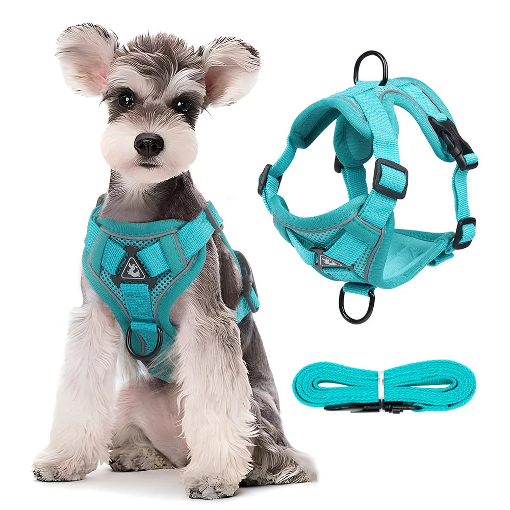 HARNAIS CHIEN RÉGLABLE POUR PETIT CHIEN™