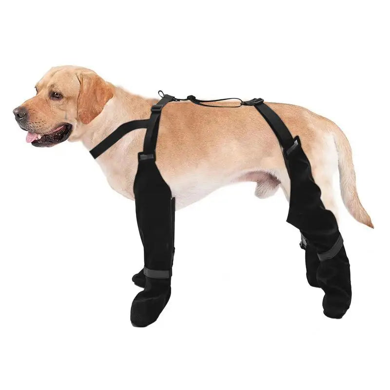 BOTTES POUR CHIEN AVEC BRETELLES™