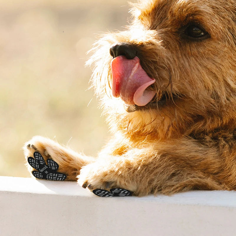 PROTECTION COUSSINET CHIEN™
