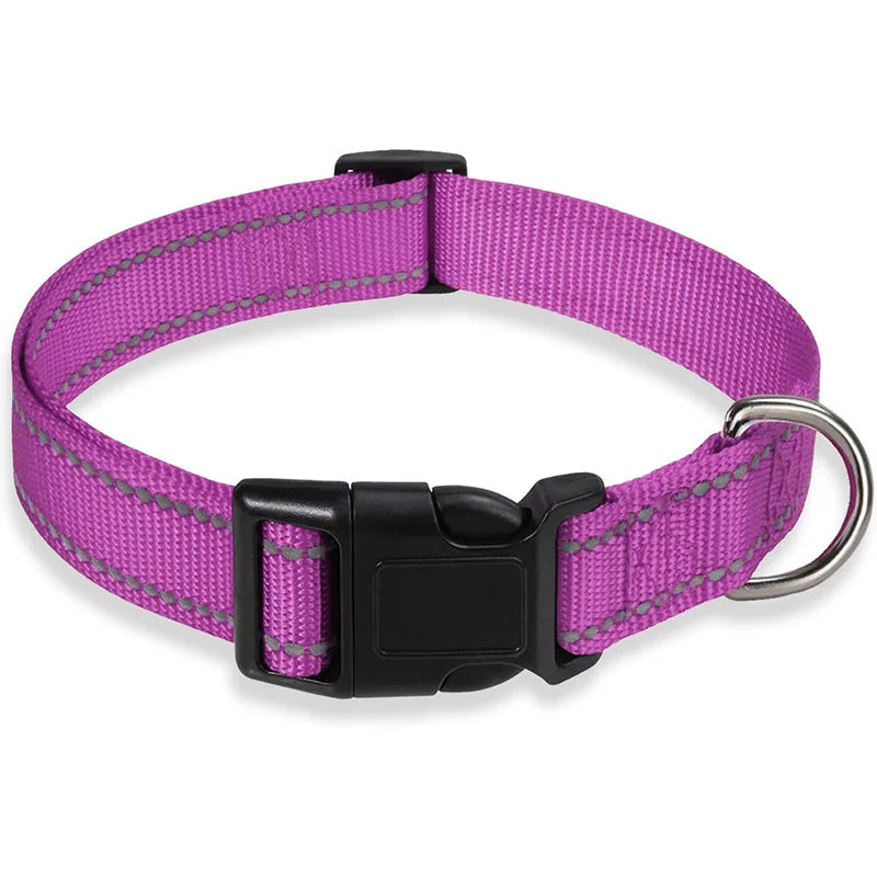 COLLIER CHIEN RÉFLECTEUR™