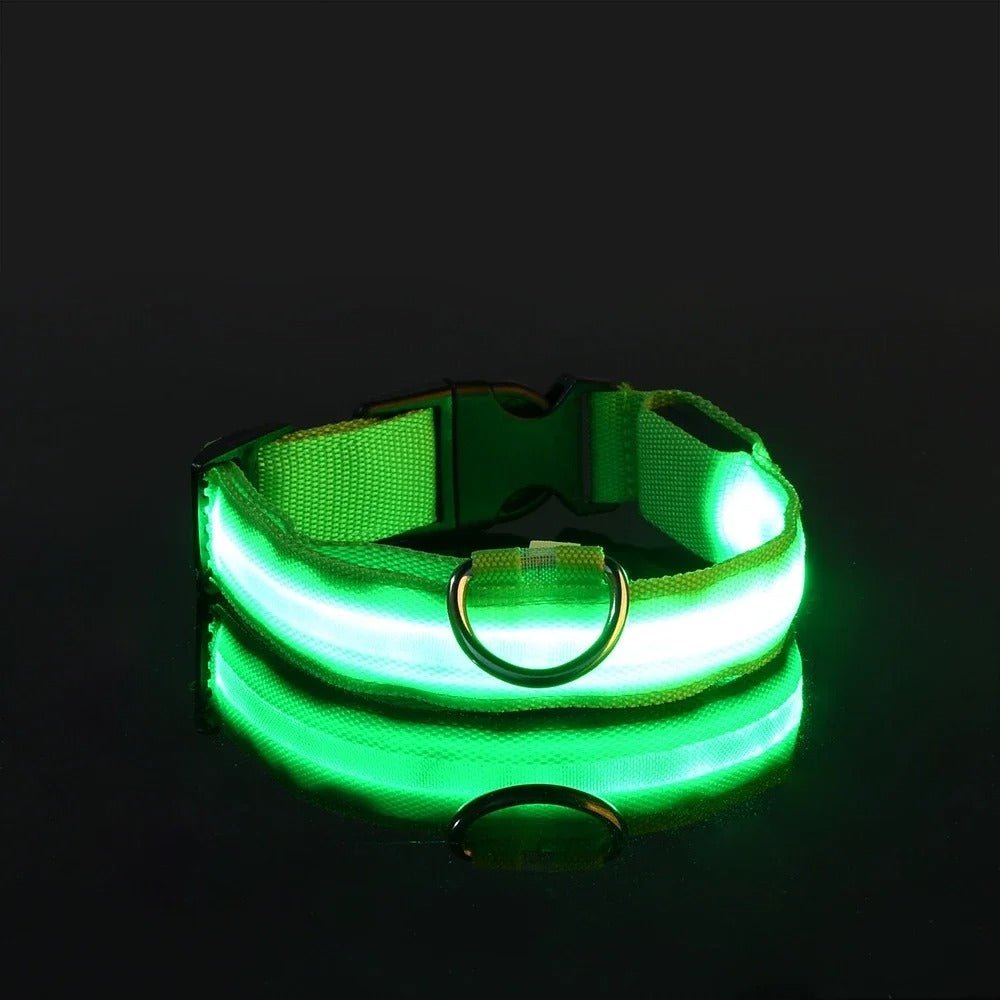 Collier lumineux chien - Pupsterforlife
