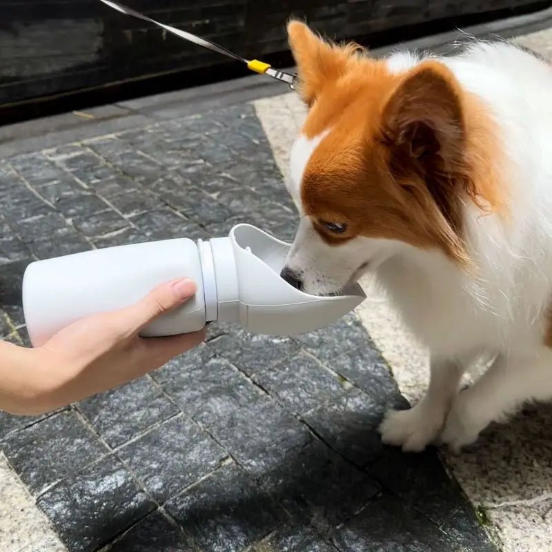 Gourde pour chien - Pupsterforlife