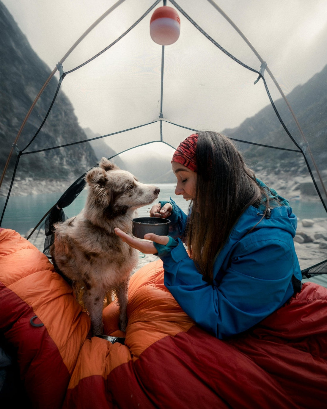En camping avec pitou - Pupsterforlife
