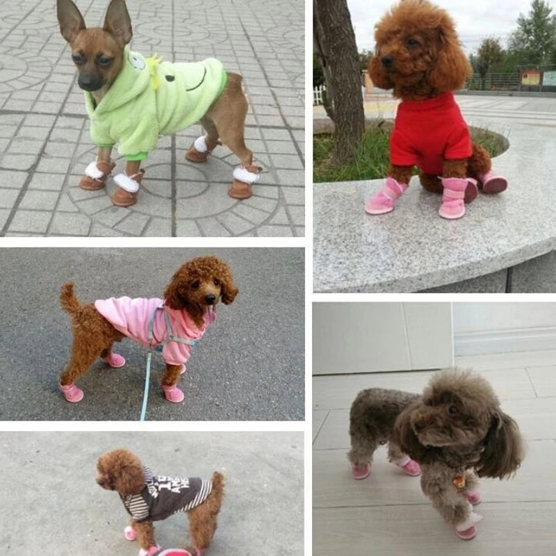 BOTTINE POUR CHIEN™