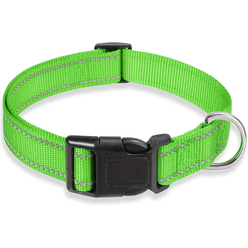 COLLIER CHIEN RÉFLECTEUR™