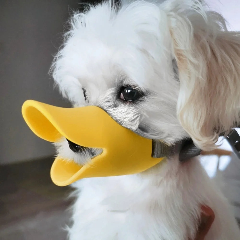 MUSELIÈRE CANARD™