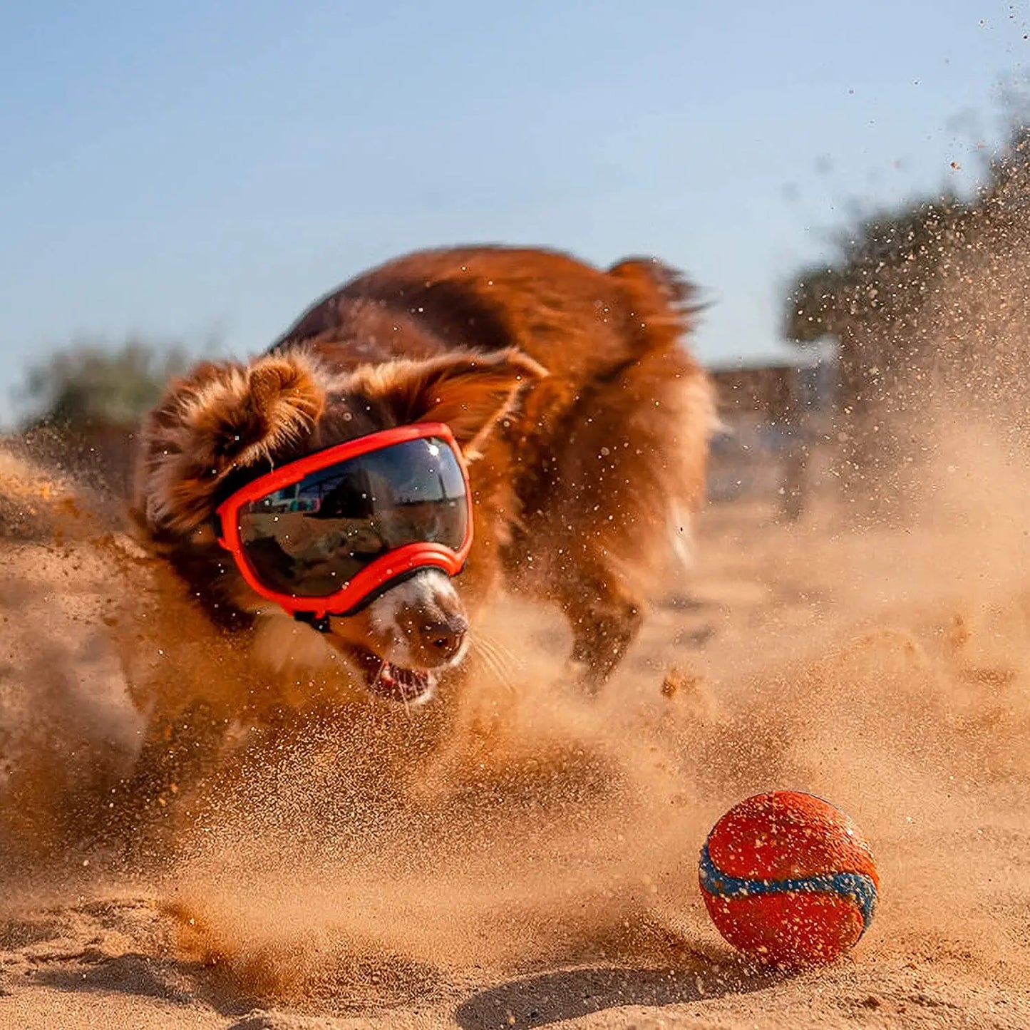 LUNETTE MOTO POUR CHIEN™