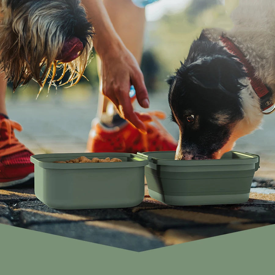 GAMELLE POUR CHIEN™