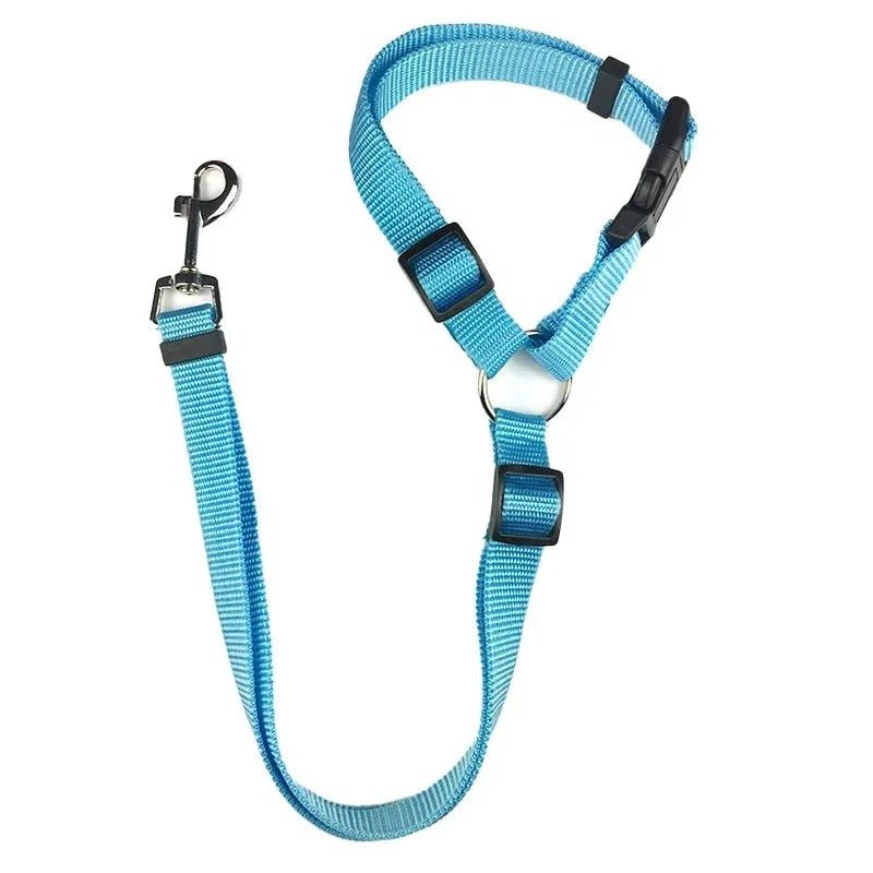 Ceinture de sécurité chien - Pupsterforlife