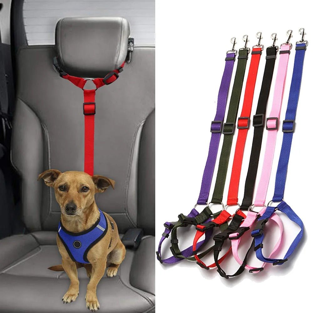 Ceinture de sécurité chien - Pupsterforlife