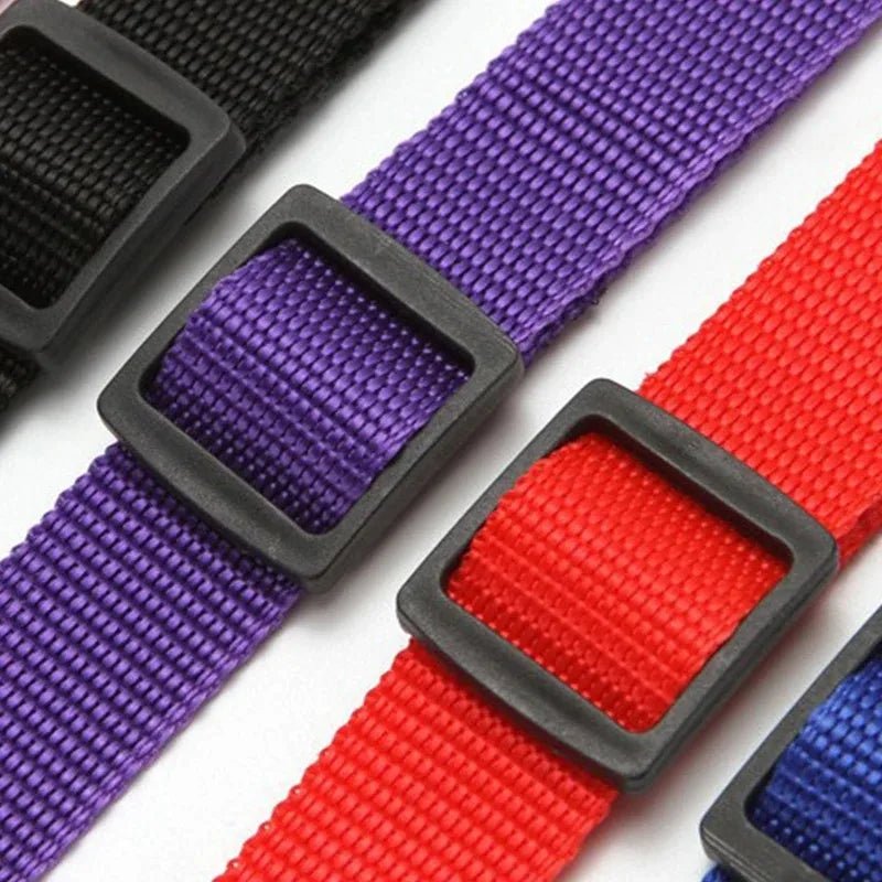 Ceinture de sécurité chien - Pupsterforlife