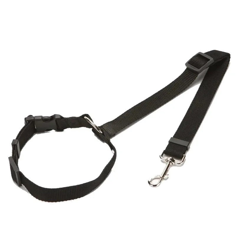 Ceinture de sécurité chien - Pupsterforlife