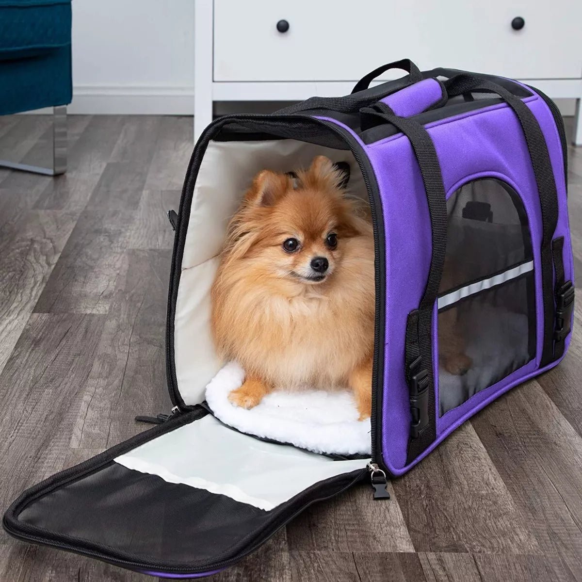 DogCarrierBag™ - Violet - Pupsterforlife