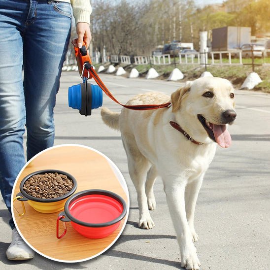 Gamelle de voyage - Pupsterforlife