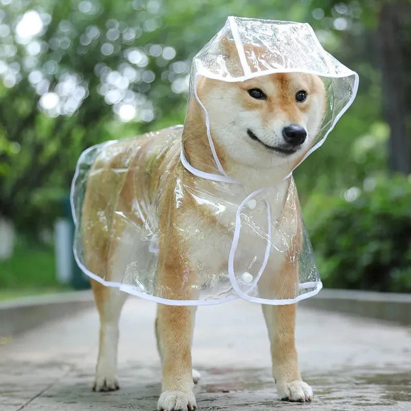 Impermeable pour chien - Pupsterforlife