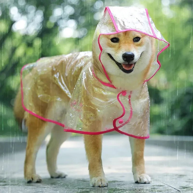 Impermeable pour chien - Pupsterforlife